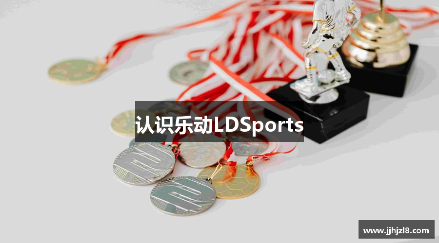 认识乐动LDSports